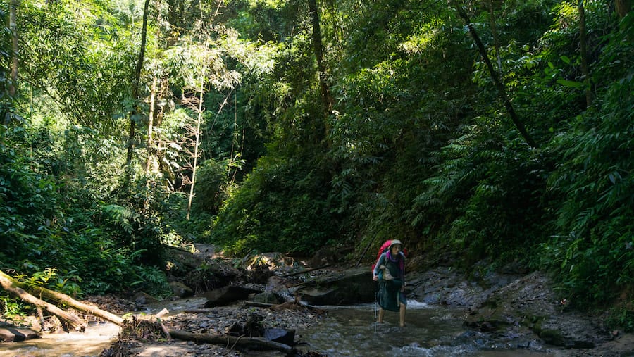 Indulge in a unique trekking experience in the Xishuangbanna Rainforest in China
