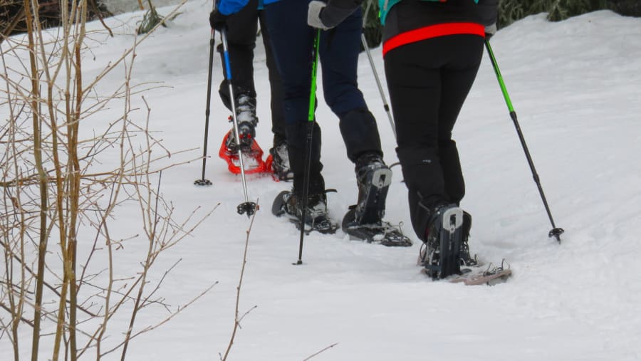 Travellers snowshoeing In Romania