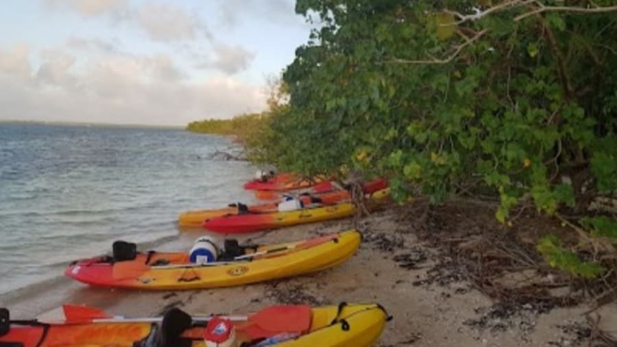 Go kayaking at Vieux Bourg