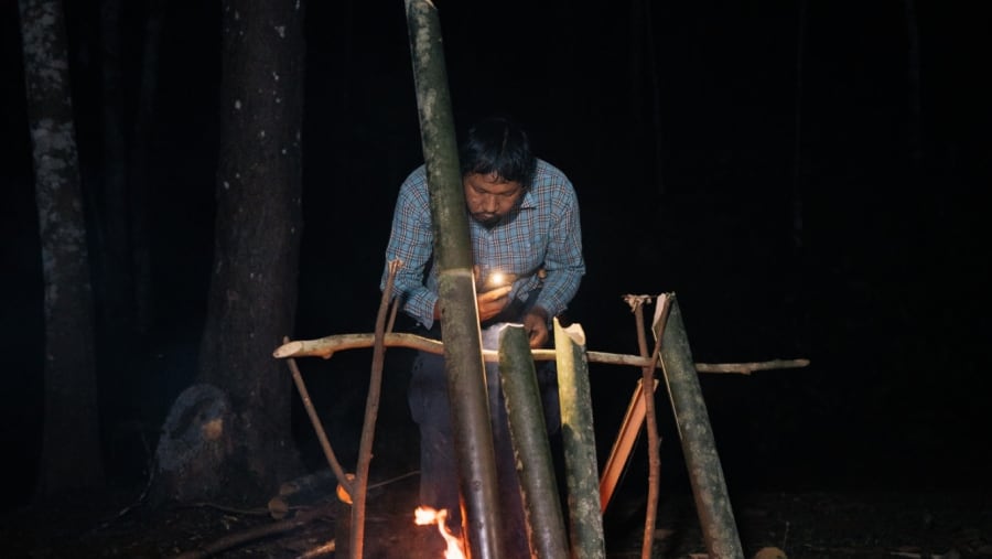 Learn to cook on bamboos in this Nature Trek