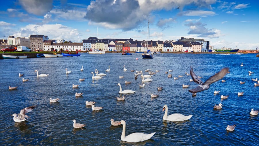 Galway Bay