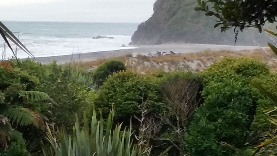 West coast scene