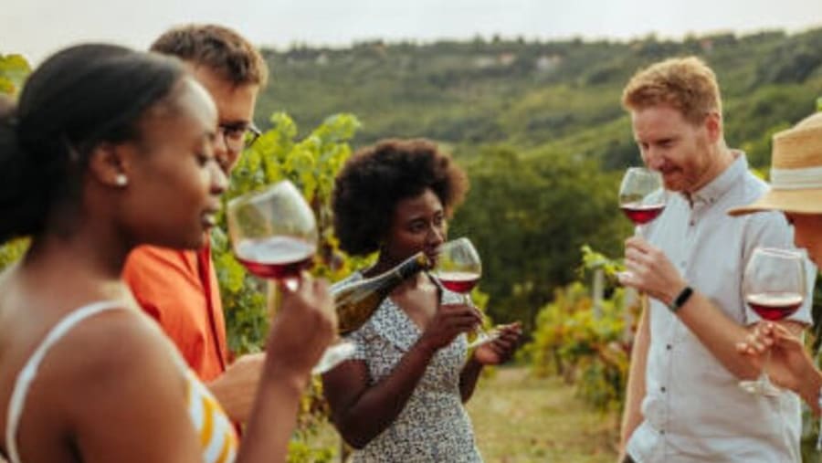 Ethnic Village Serbian Wine Tasting Tour