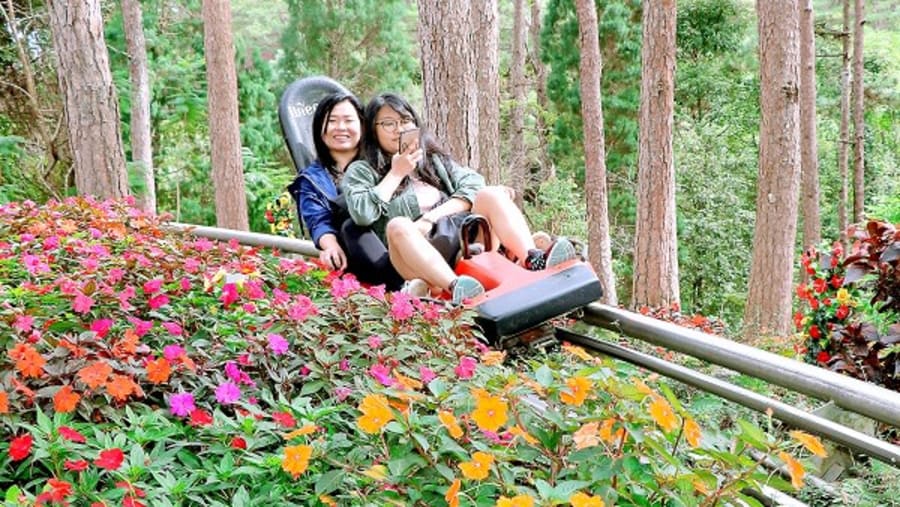 Fun at Alpine Coaster