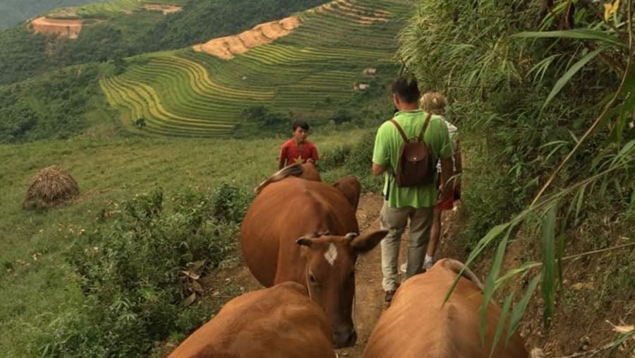 Trekking in Ba Be national park