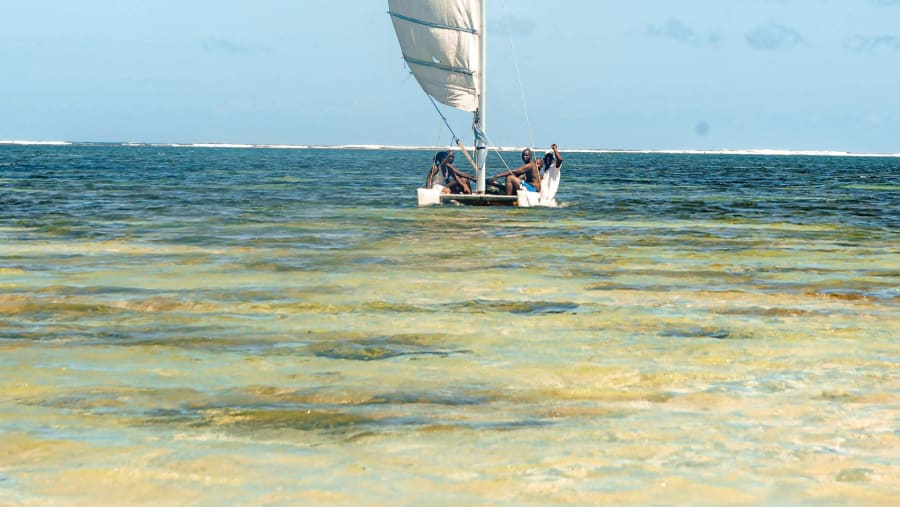 REFINED SAFARI & COASTAL BLISS