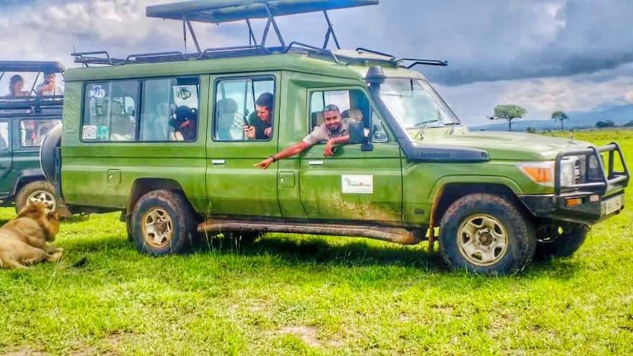 Safari Experience