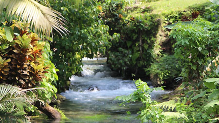 Roaring River