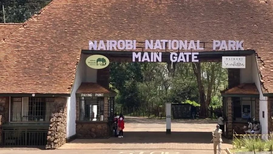 Nairobi Wildlife & Conservation Experience