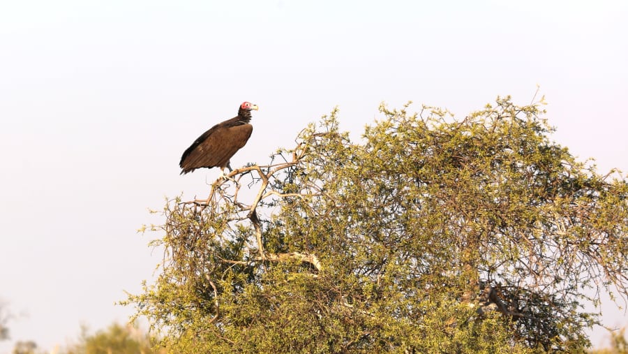 Hwange National Park