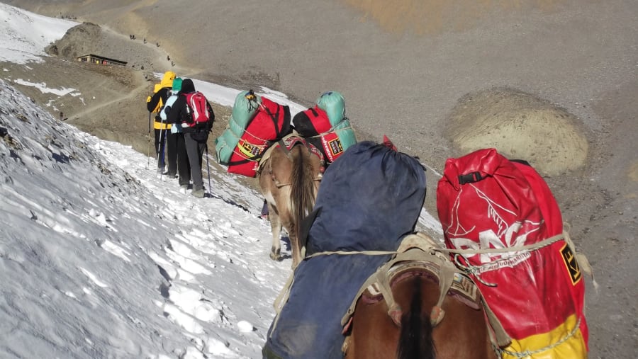 Annapurna Circuit Trek