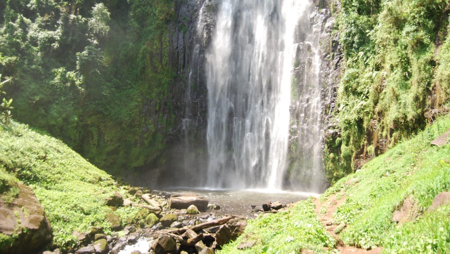 Admire the Materuni Waterfall