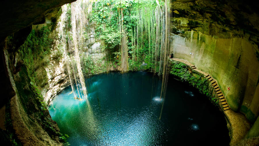 Cenotes Tulum