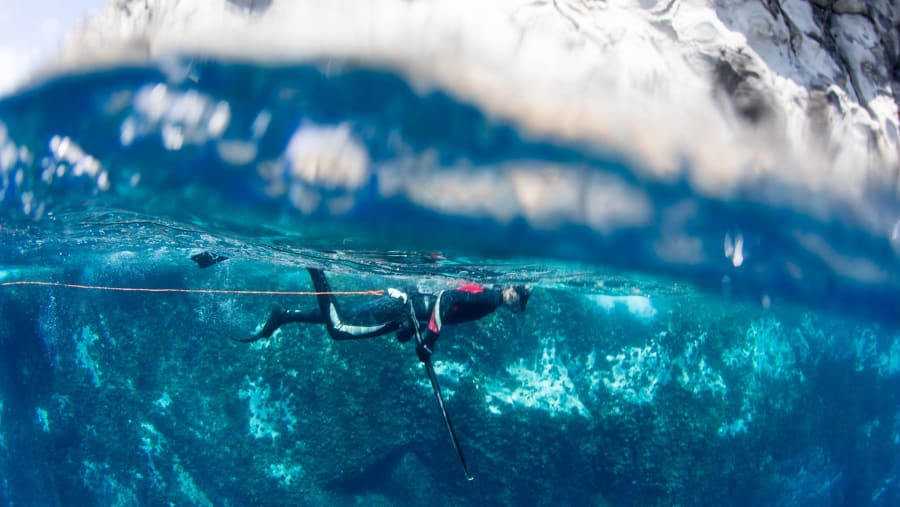 Ready to dive