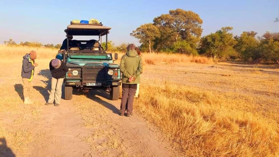 Induge in a fun-filled jeep safari at Moremi
