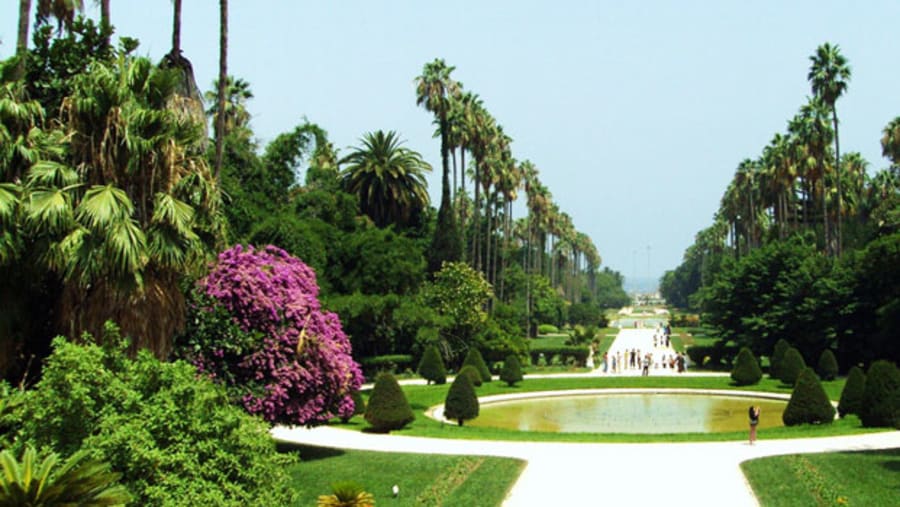 Botanical Garden Hamma