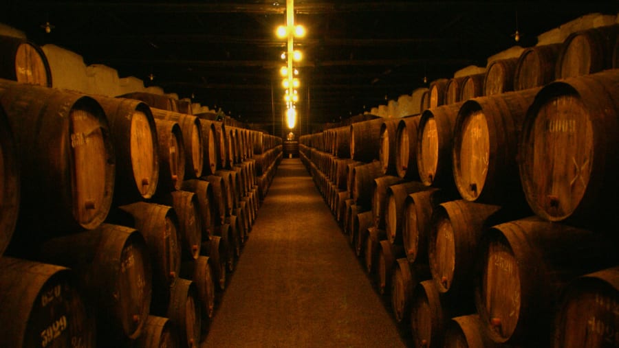 See Wine Cellars in Porto