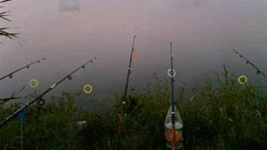 Fishing