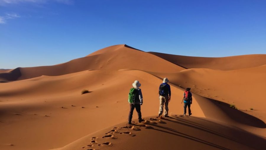 Sahara Desert