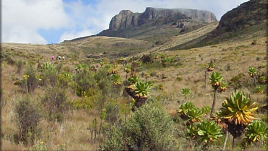 Koitobos peak