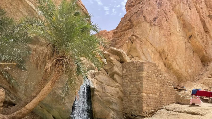 Oasis
