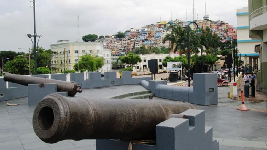 City area