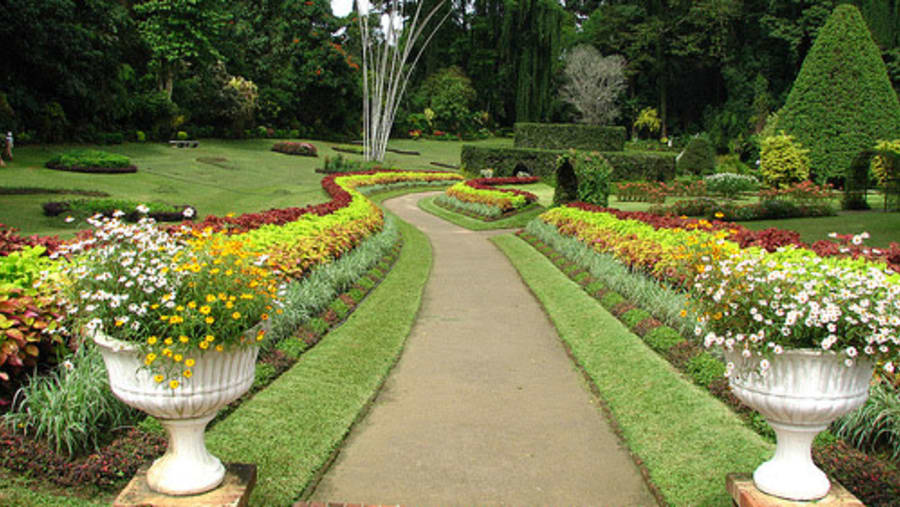 Royal Botanic Gardens