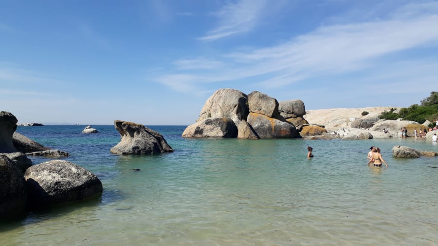 Visit Boulders Beach