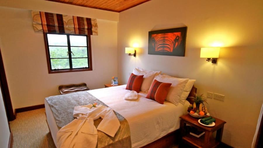 The Ark Bedroom