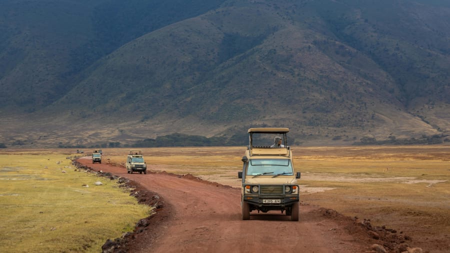 Embark on a fun jeep safari