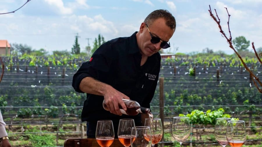 Aguascalientes, Mexico: Private Wine Tour With Tastings