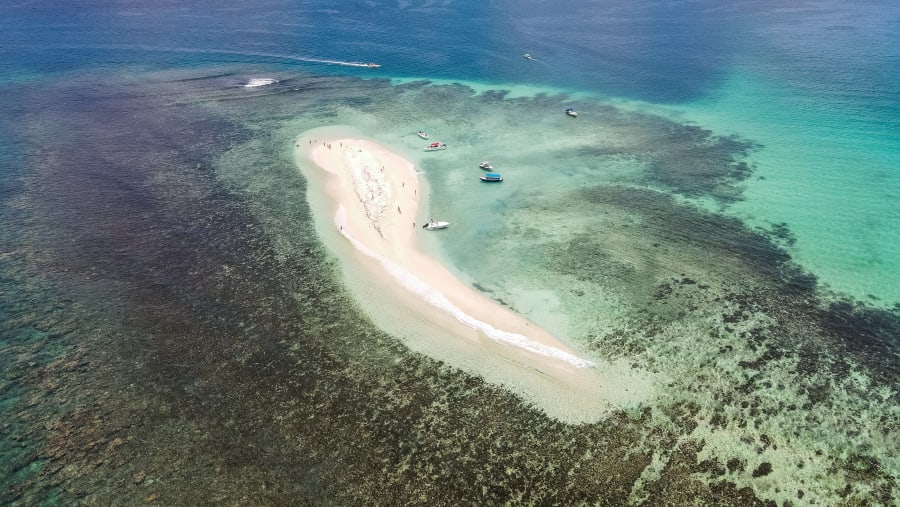 Naked Island