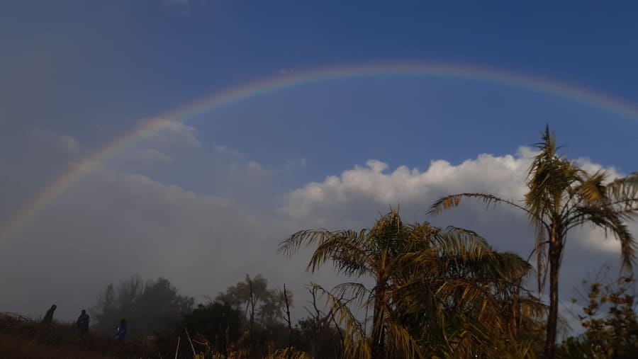 Spot a Rainbow at the Falls