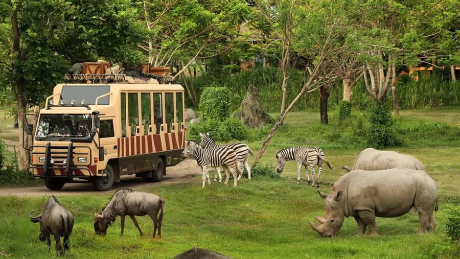 Bali Safari