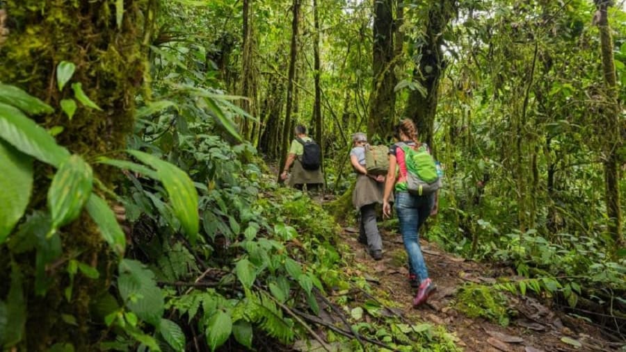 Mindo Cloud forest hike