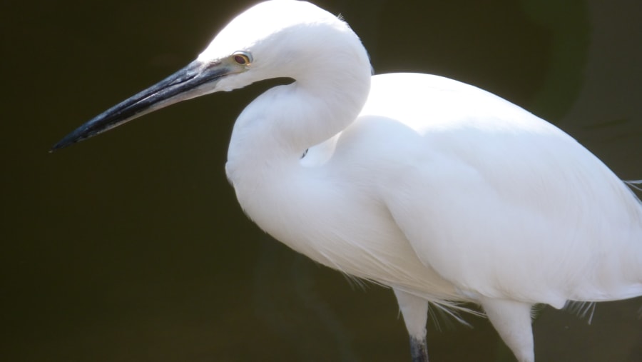 Bird sightings in the National Park