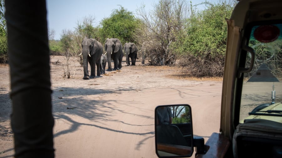 Chobe National Park