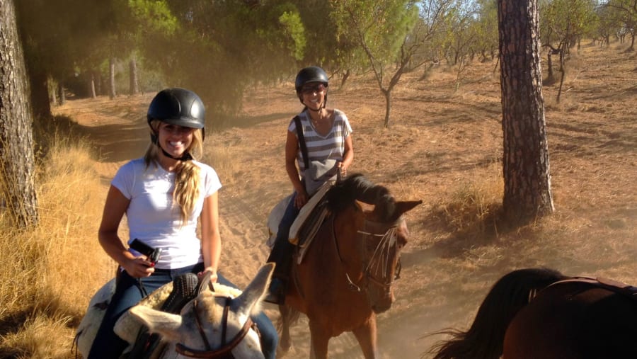 Horse Riding