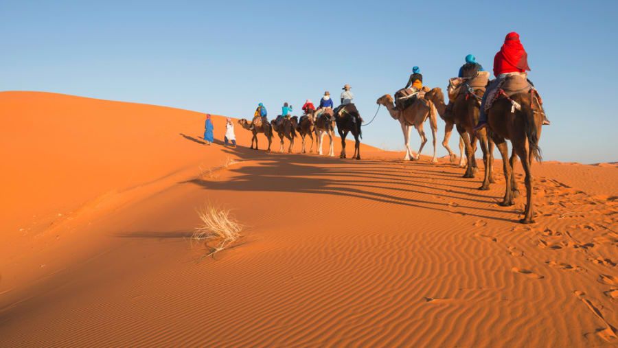 Travelers camel riding in the Moroccan Desert