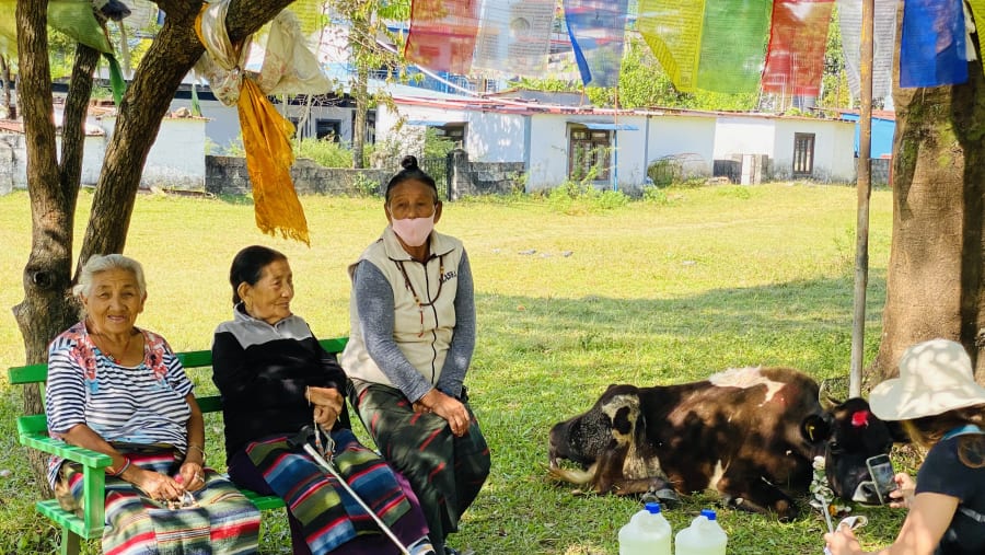 Interaction with locals