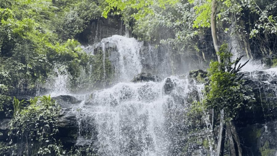 Aburi Botanical Gardens