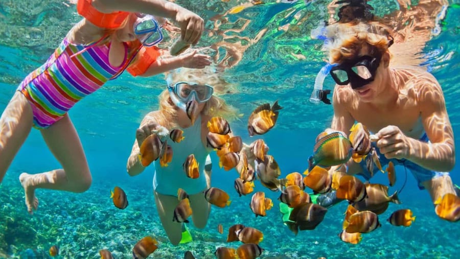 Marine Life
