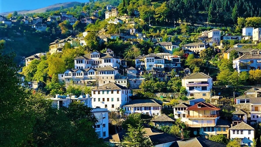 Palorto