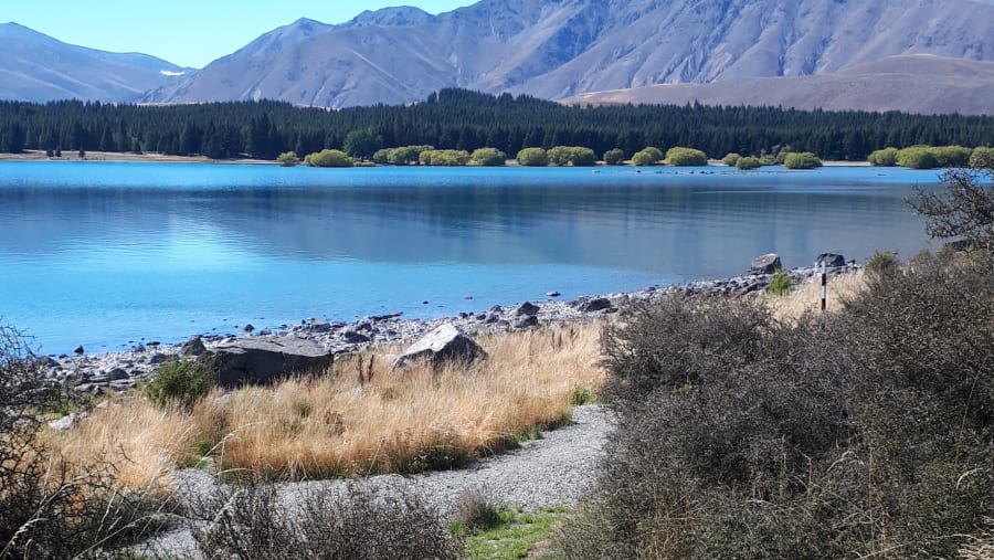 Lake Tekapo
