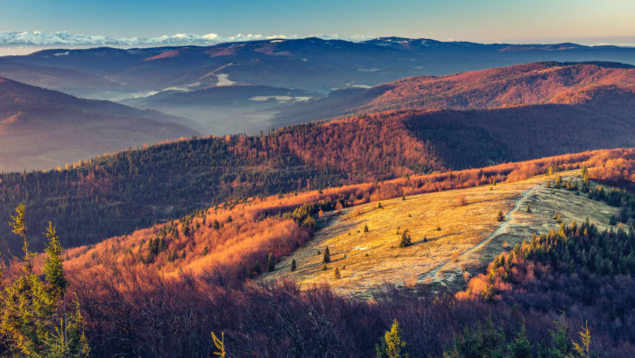 Pieniny Mountains