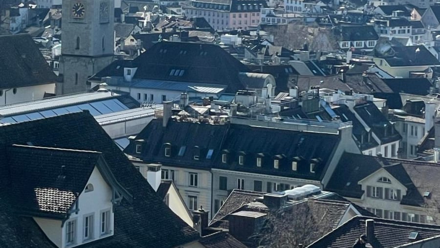 Zurich from afar