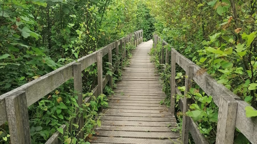 Hike in Remerschen