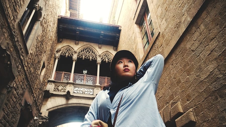 Barcelona's Gothic Area