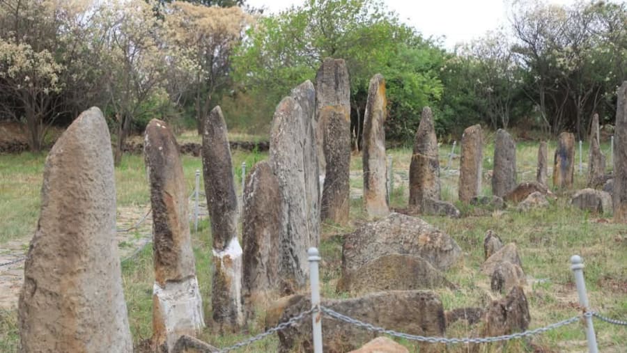 Tiya World Heritage Site