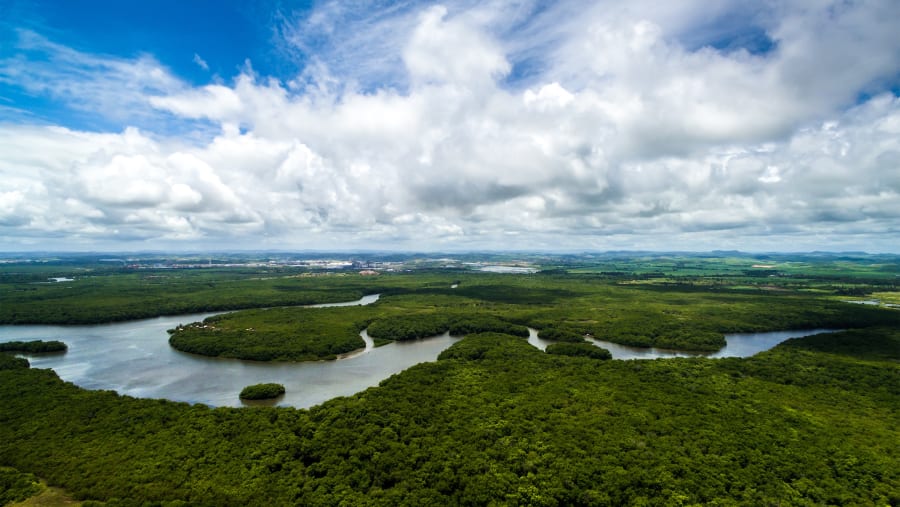 Amazon river